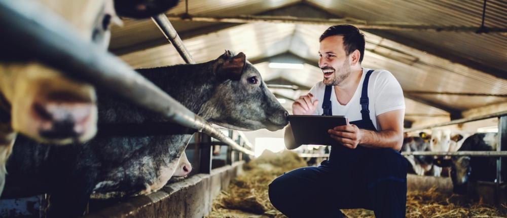 Steueränderungen 2023: Das Müssen Landwirte Jetzt Wissen Und Beachten ...